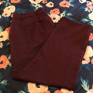 Ladies pants